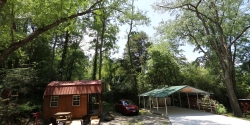 Colt-front-view-2019